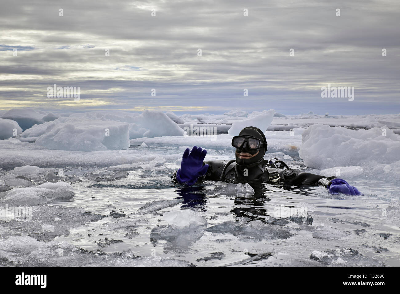 Scuba diving in Arctic Sea, Spitsbergen, Arctic Ocean, Norway Stock Photo