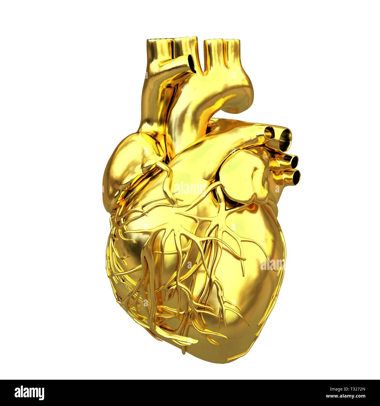 Golden anatomical heart. 3d render Stock Photo - Alamy