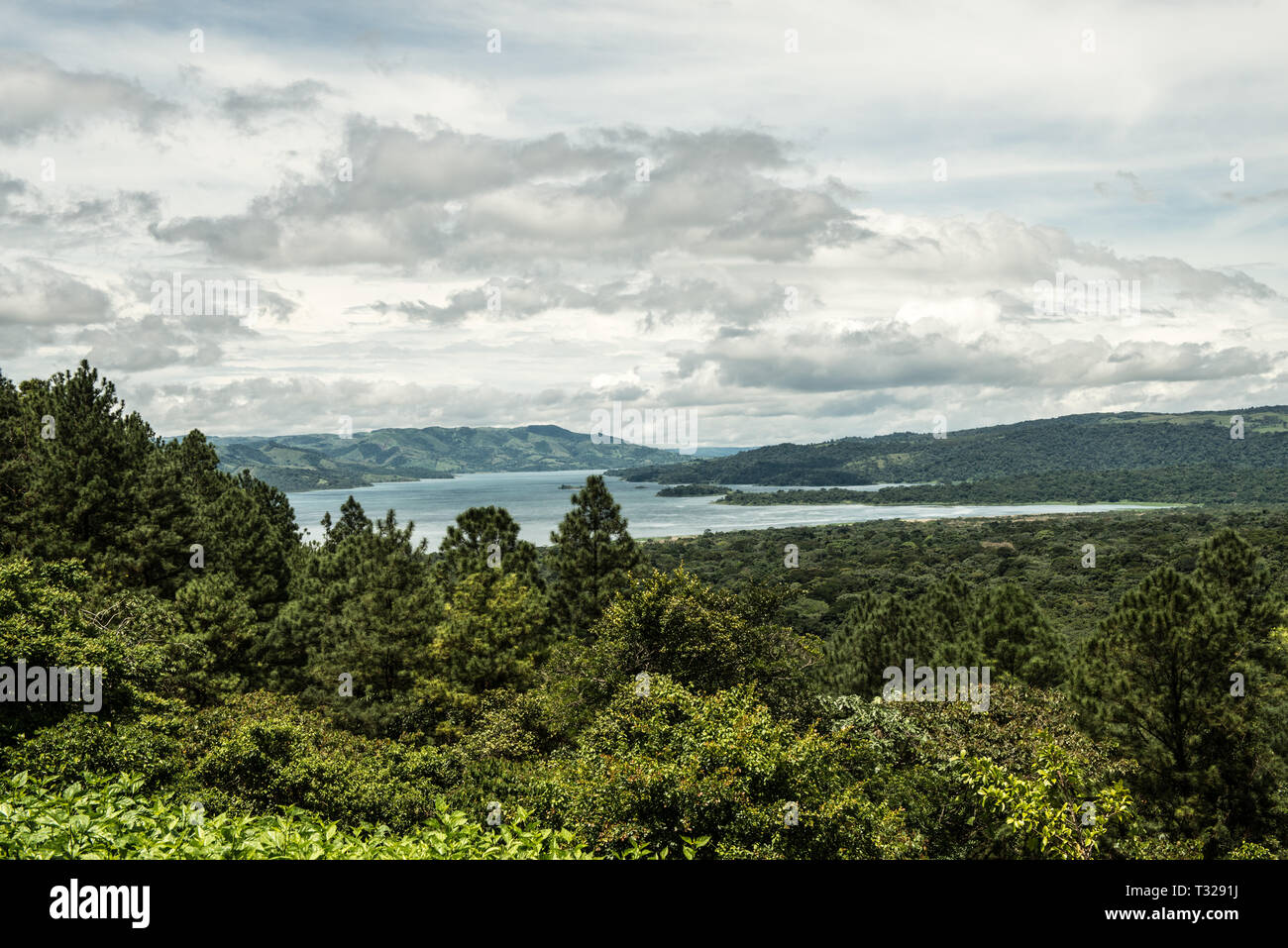 Rain forest of Costa Rica Stock Photo