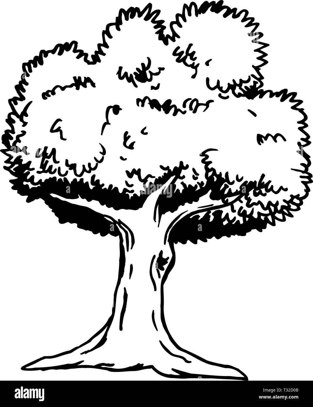 Tree Vector Illustration Stock Vector Image & Art - Alamy