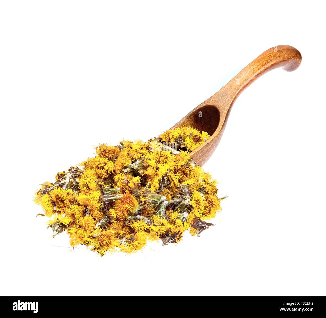 Dried flowers coltsfoot Tussilago farfara on the wooden spoon. Stock Photo
