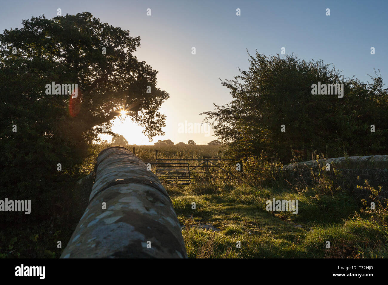 Sunrise over countryside near Audlem, East Cheshire, England, from Snows Bridge, Shropshire Union Canal Stock Photo