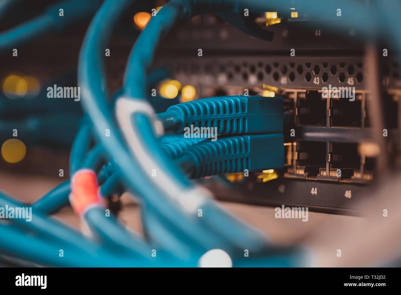 Close up of network cables on panels in a server room Stock Photo