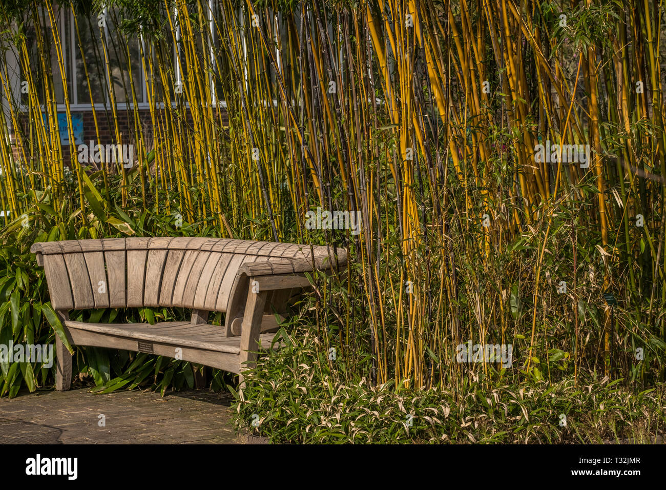 Wooden Garden bench chair Stock Photo