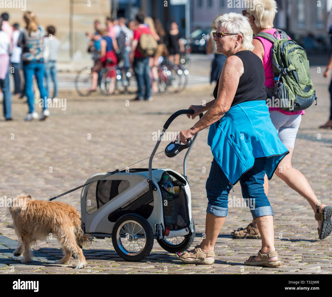 Two women walking in the sunshine at Amalienborg Palace with their dog and pushing a pet stroller. Stock Photo