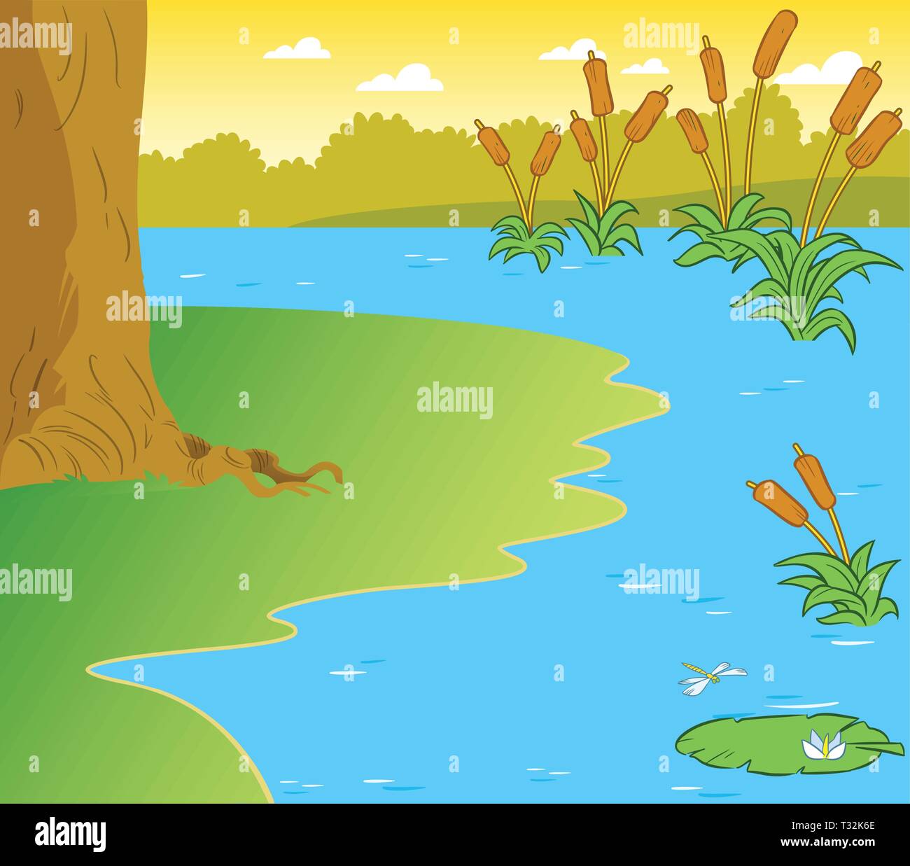 The illustration shows the part of the shore of a pond with reeds and water lilies Stock Vector