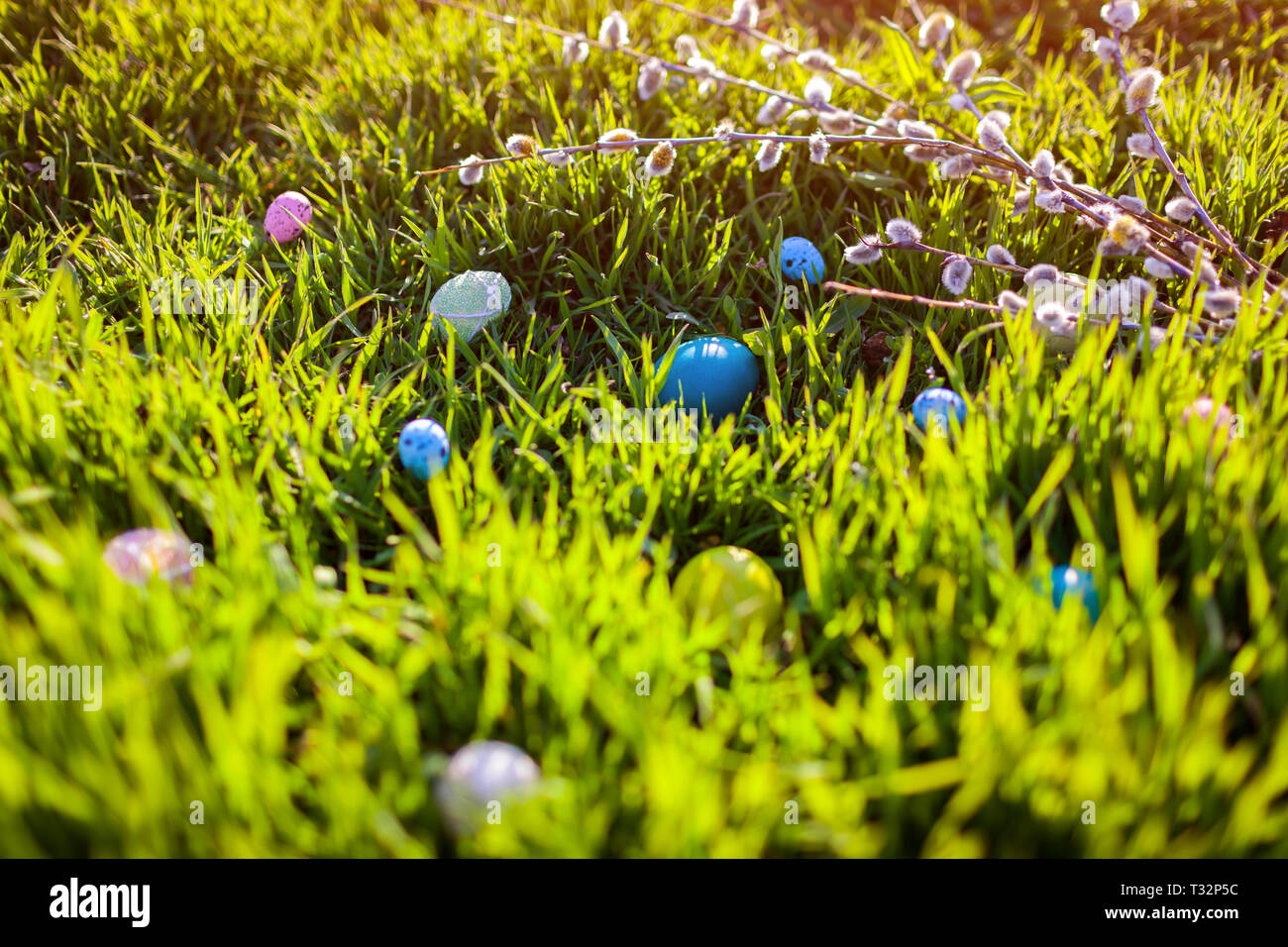 Happy Easter. Easter eggs hidden in spring grass. Holiday decoration Stock Photo