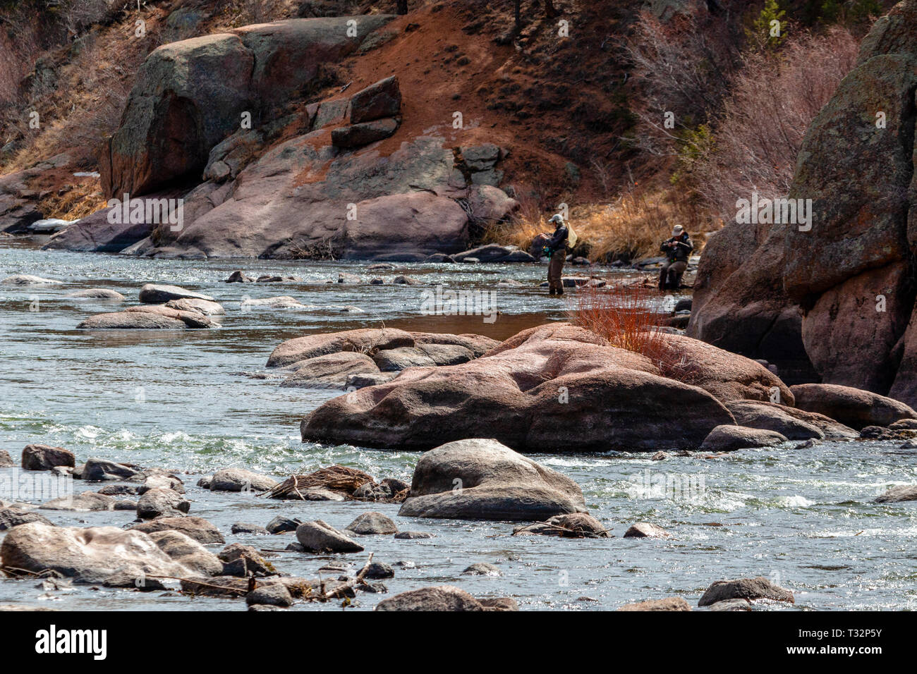 Fly fishing on the Platte River near Deckers Colorado Stock Photo Alamy