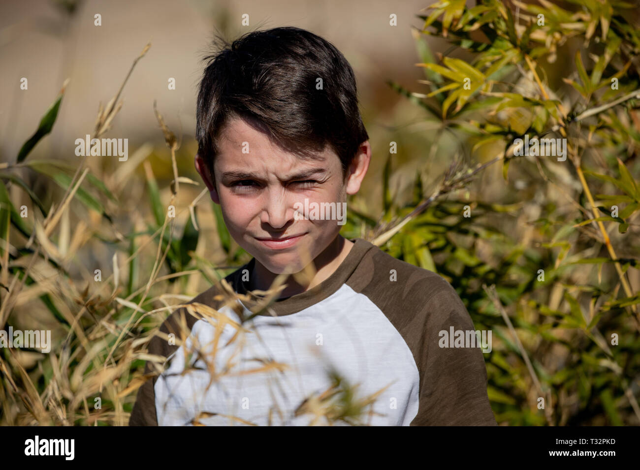 Closeup of a 12yearold boy in the bushes Stock Photo Alamy