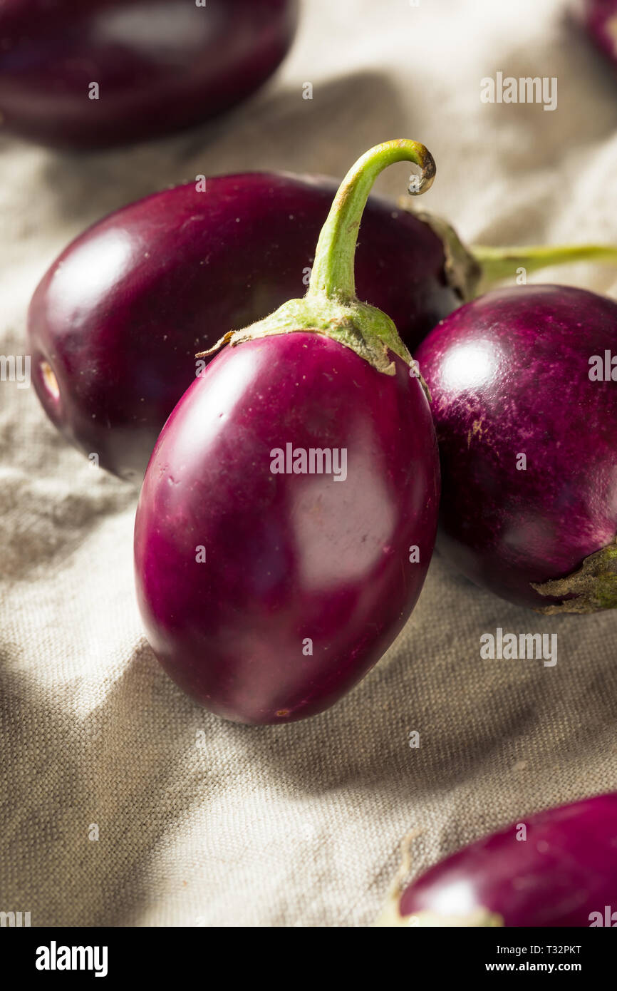 Raw Organic Purple Indian Eggplants Ready to Cook Stock Photo
