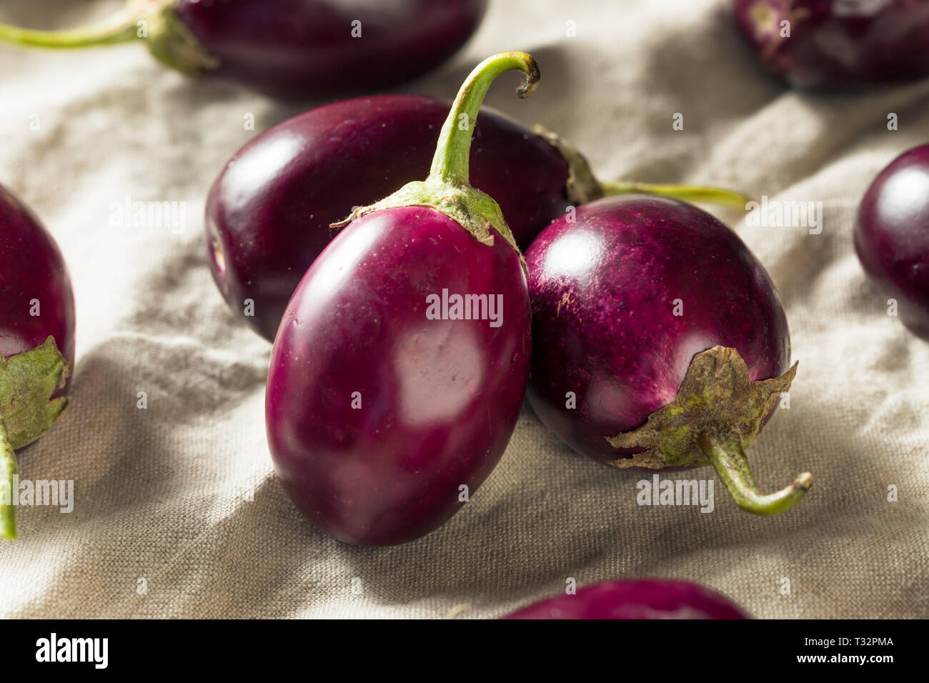 Raw Organic Purple Indian Eggplants Ready to Cook Stock Photo Alamy