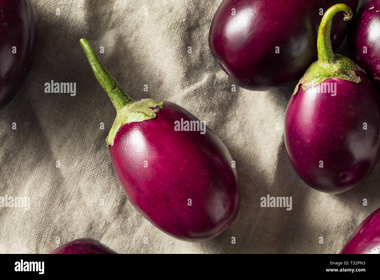 Raw Organic Purple Indian Eggplants Ready to Cook Stock Photo Alamy