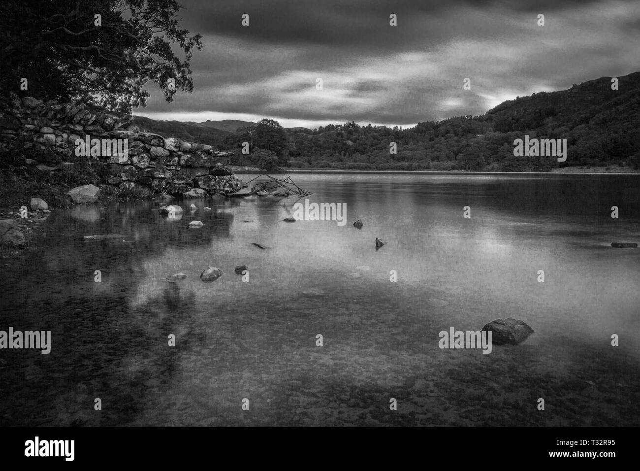 Tranquil lake scene with trees Black and White Stock Photos & Images ...