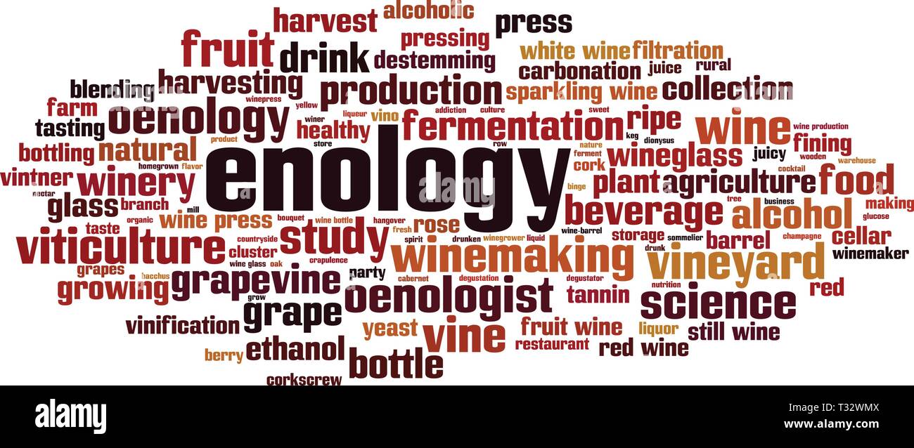 Enology Word Cloud Concept Collage Made Of Words About Enology