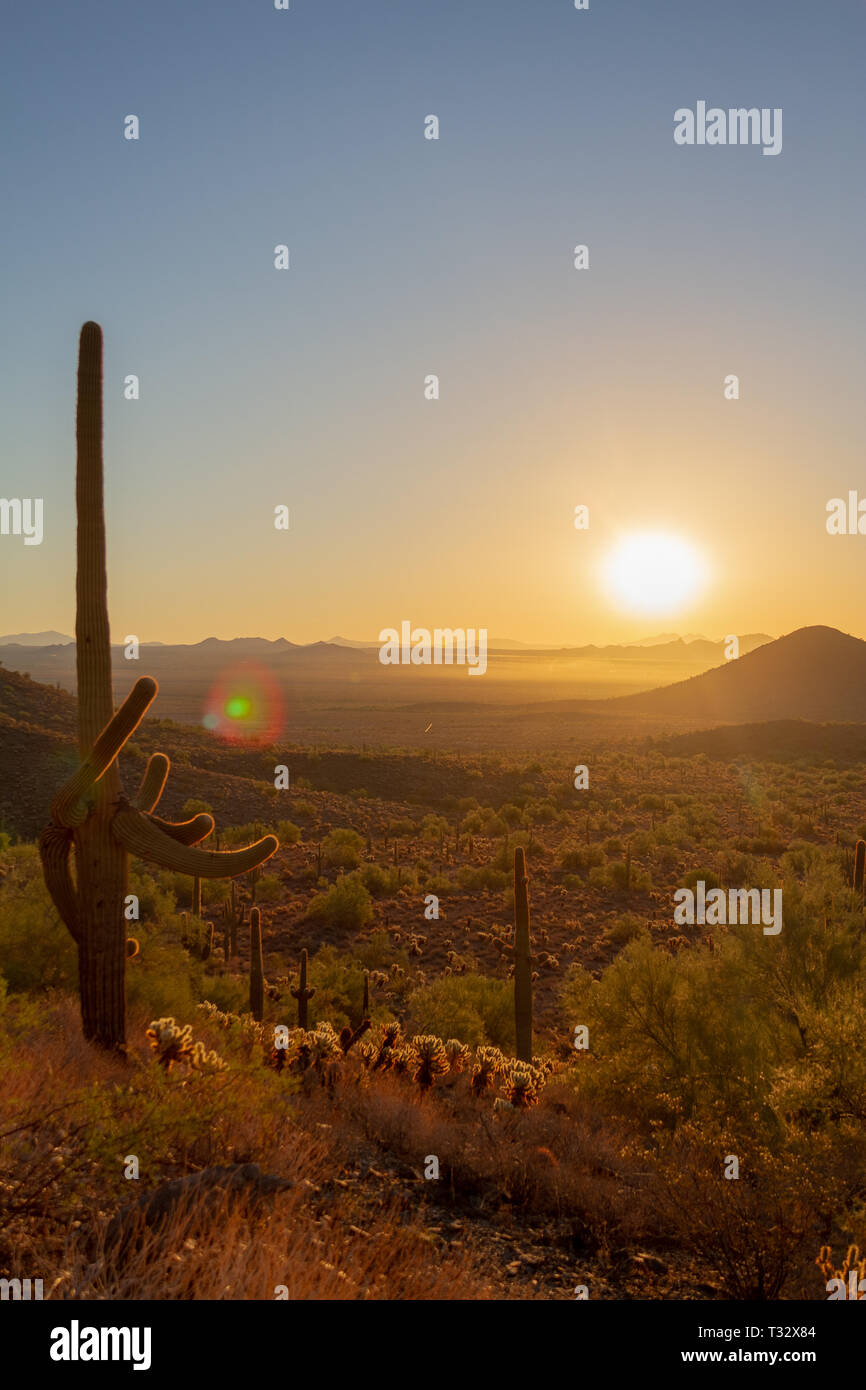 The sun rising above the Arizona Desert with the Four Peaks in the ...
