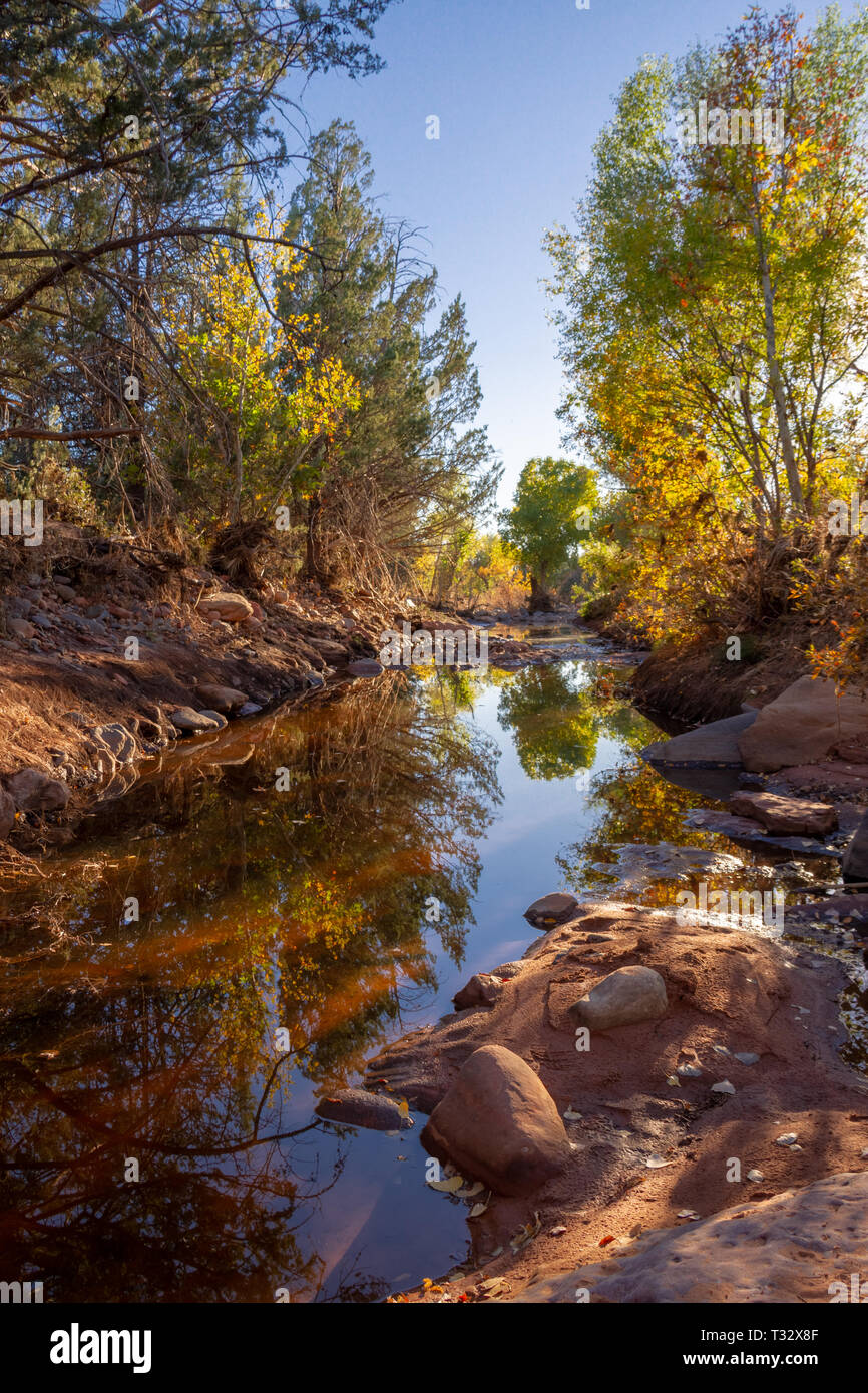 Red Fall Desert A creek flowing through the red rock desert of Sedona with fall colors ...