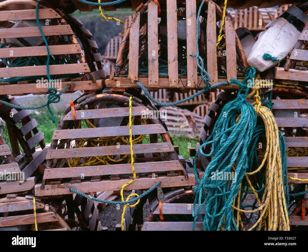 Lobster traps newfoundland hi-res stock photography and images - Page 2 -  Alamy
