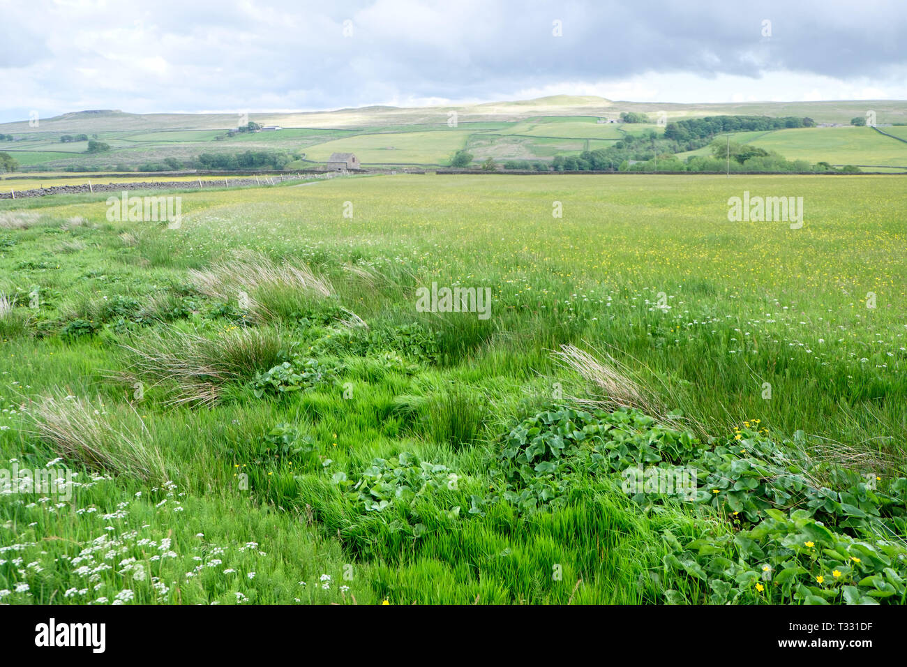 The traditional farming landscape of Hannah's Meadow Nature Reserve, part of the Durham Wildlife Trust in Teesdale, County Durham. Stock Photo