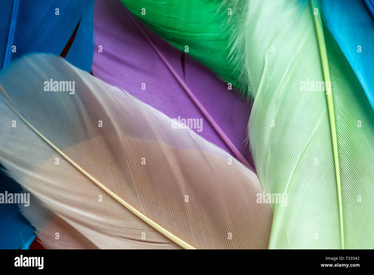 Colorful artificial feathers texture close up Stock Photo