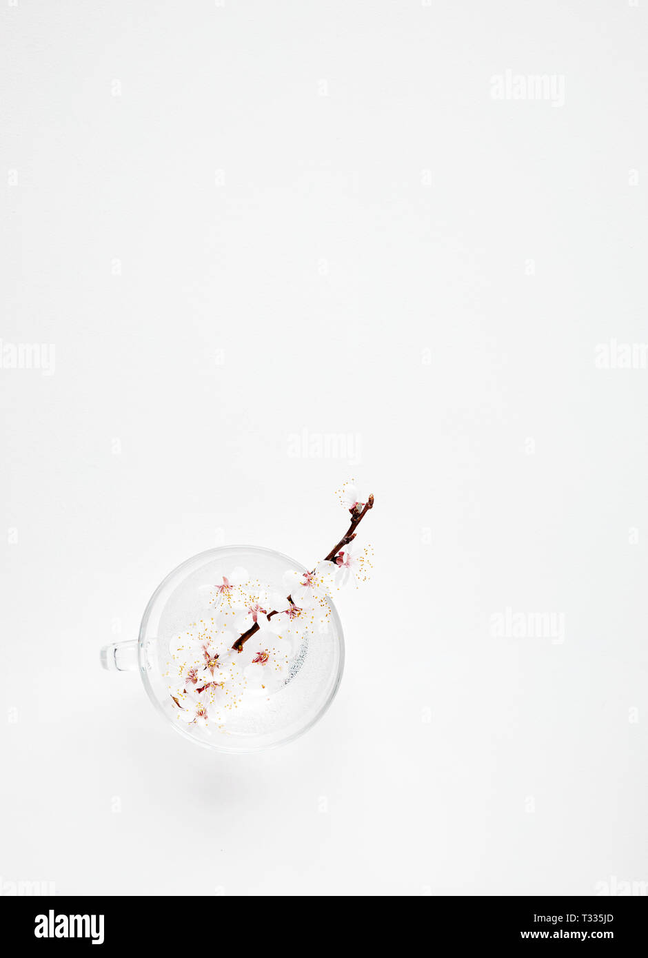 White flowers in water on white with free space for your text Stock Photo