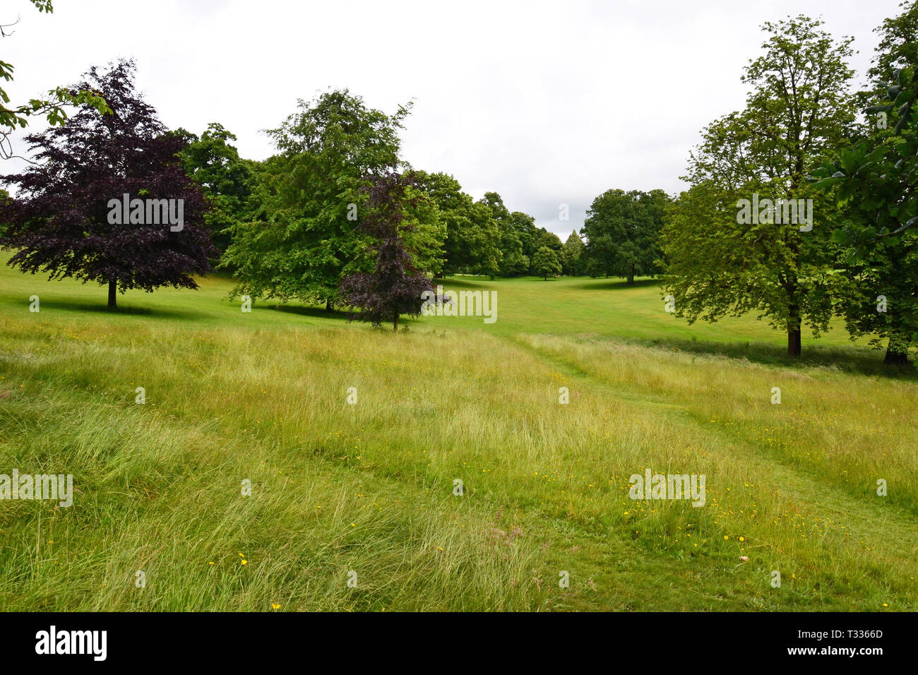 Christchurch Park, Ipswich, Suffolk, UK Stock Photo