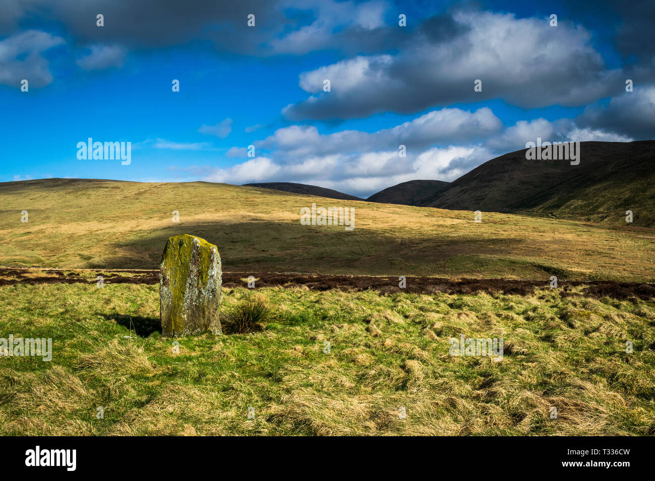 The Wallace Stone. Dunblane. Scotland Stock Photo