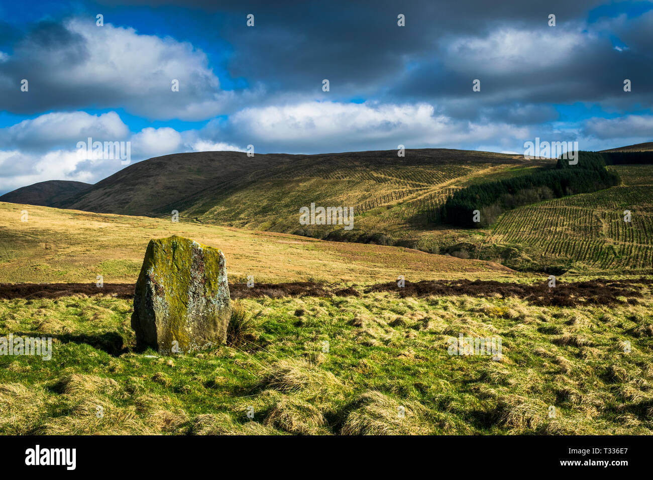 The Wallace Stone. Dunblane. Scotland Stock Photo