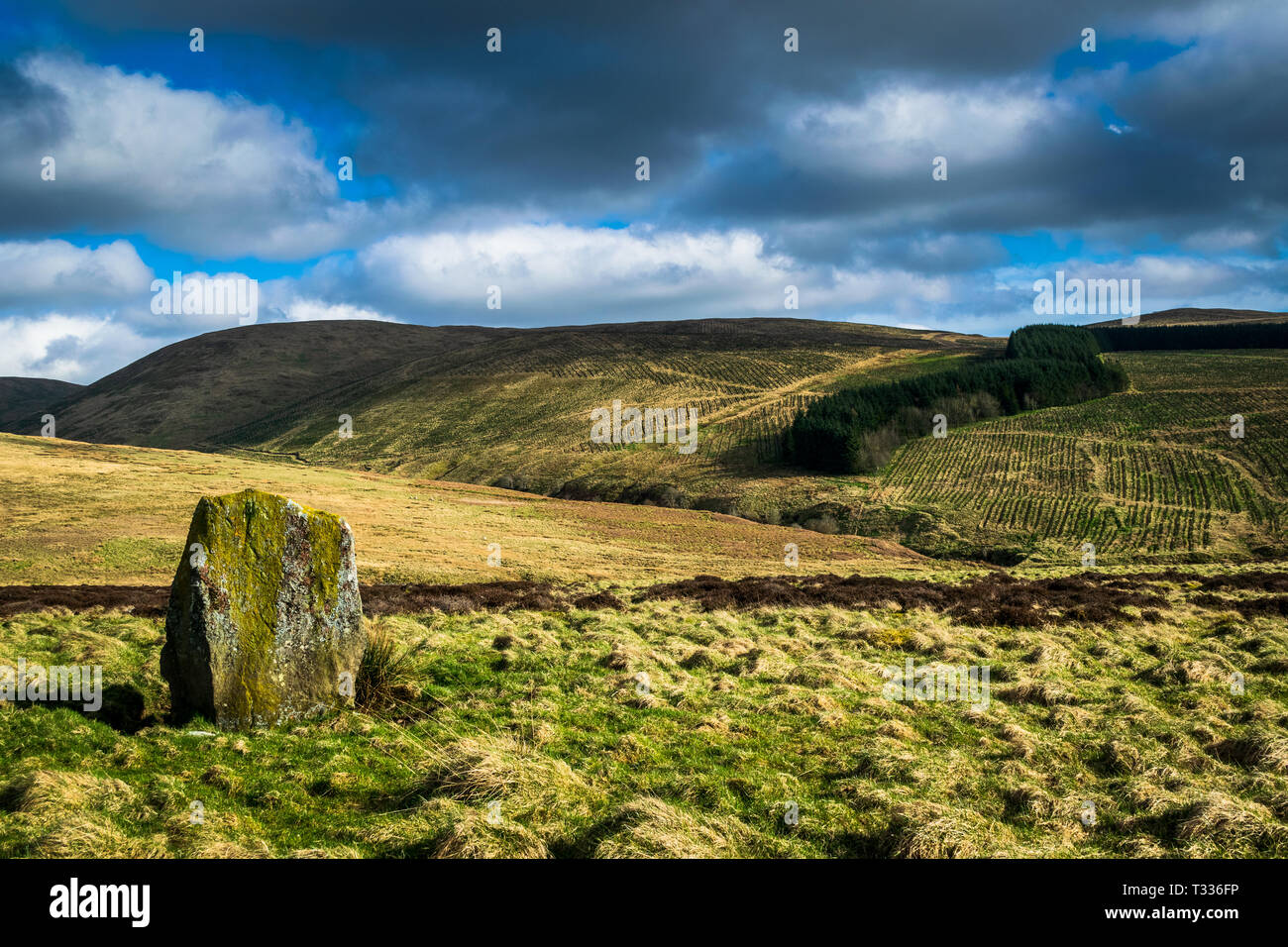 The Wallace Stone. Dunblane. Scotland Stock Photo Alamy