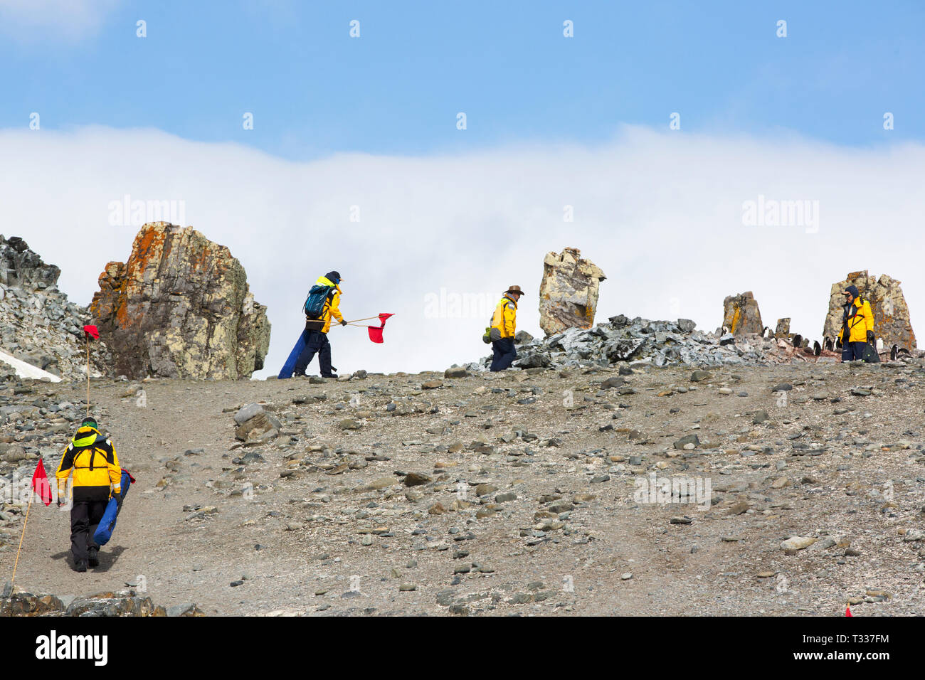 Tour guides from an Antarctic cruise ship lay out a trail for tourists to follow on Half Moon Island, Antarctica. Stock Photo