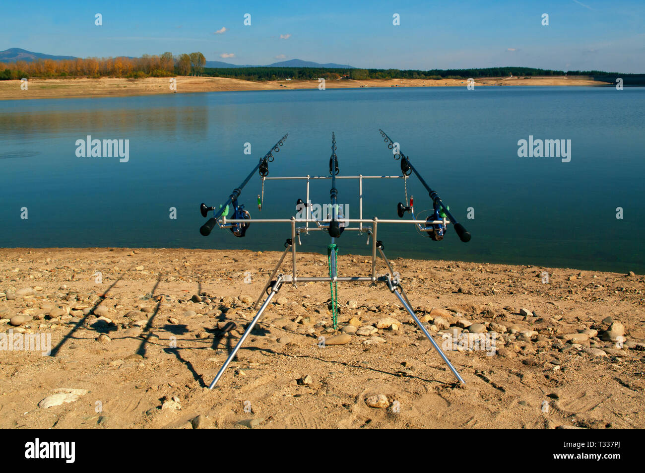 Swing fishing. Rods for carp fishing with a signaling close-up