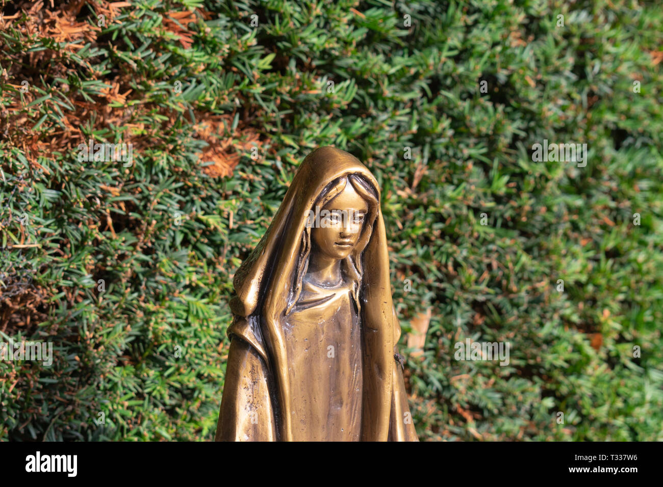 image Virgin Mary mother of Jesus horizontally and close up Stock Photo