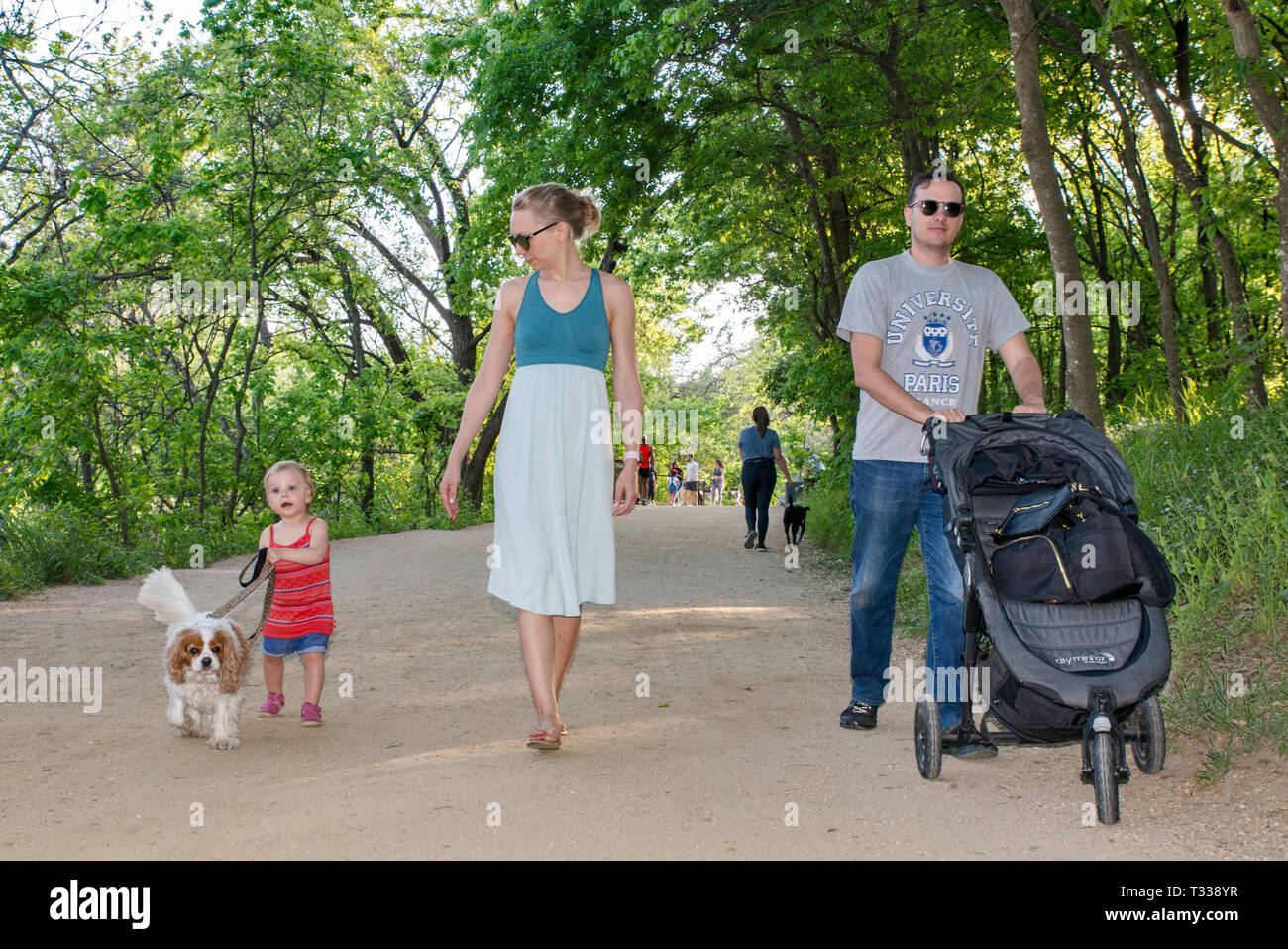 Father, mother, girl toddler and Cavalier King Charles Spaniel, at Butler Trail in Zilker Park in Austin, Texas, USA Stock Photo