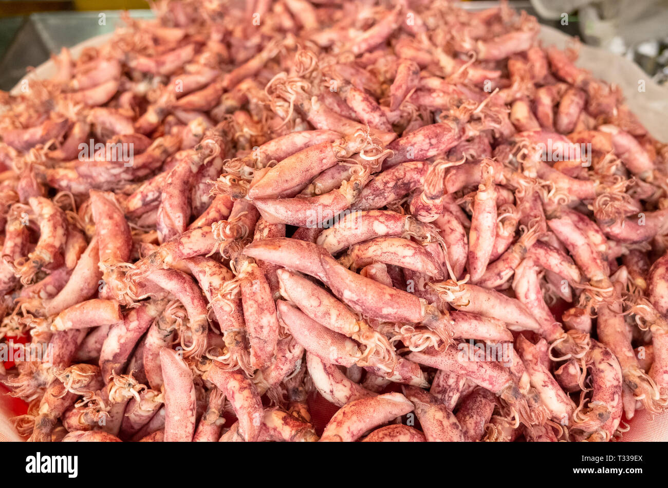 heap of dried squid fish at the traditional market at Taiwan Stock