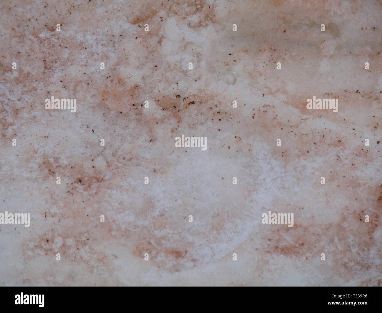 Antarctica red algae in ice snow texture background Stock Photo