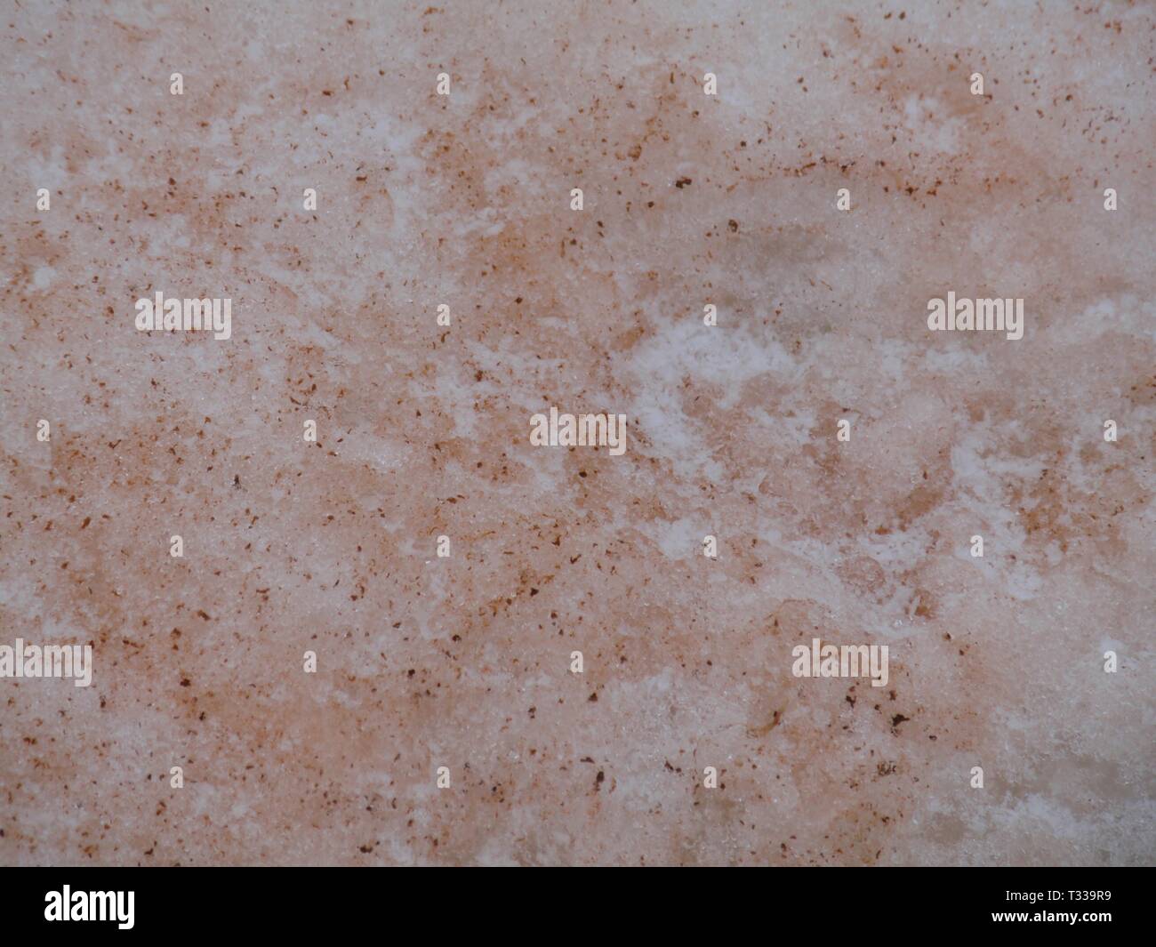 Antarctica red algae in ice snow texture background Stock Photo