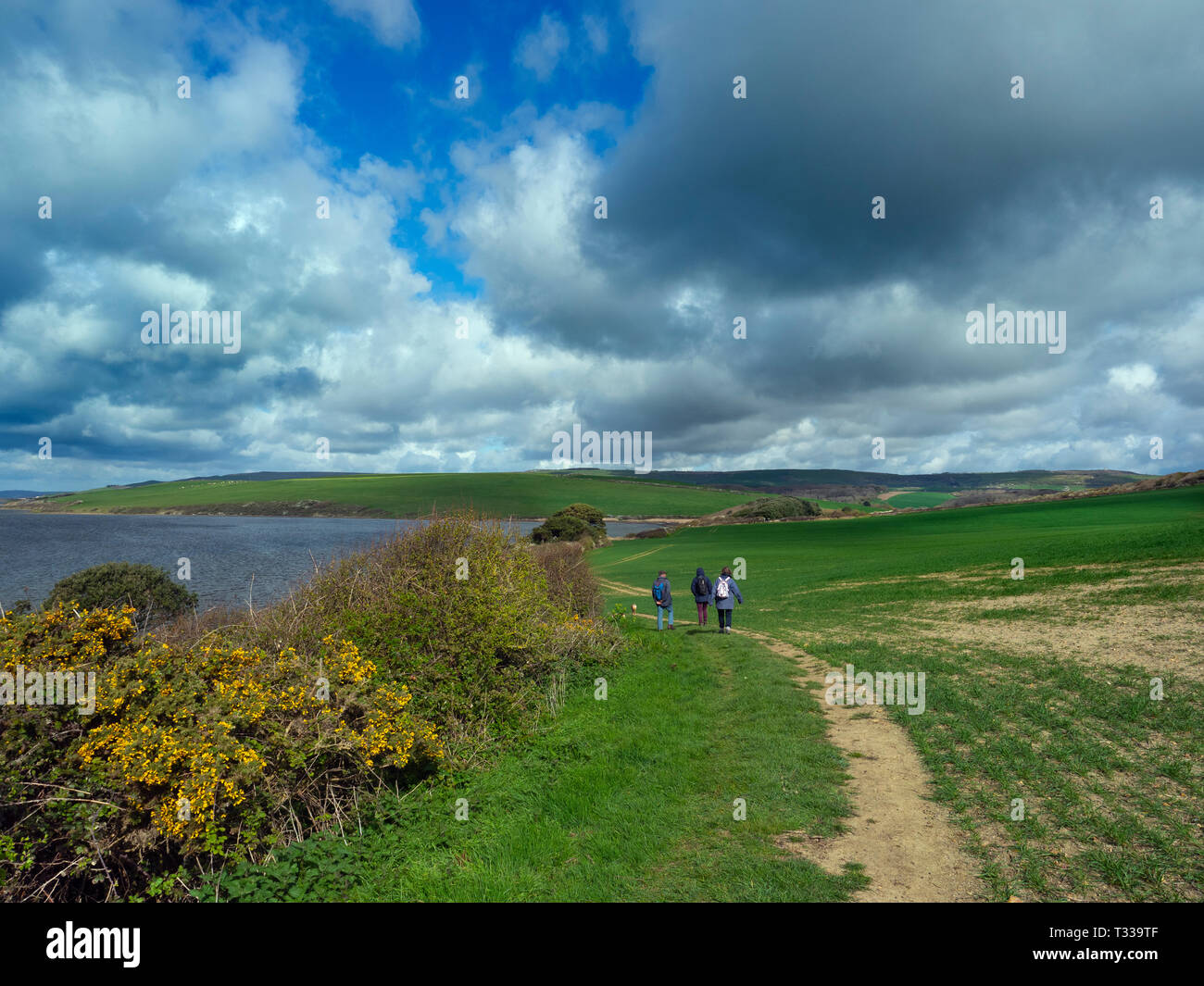 walkers near Chesil Beach and the Fleet on the Jurassic Coast  in Dorset southern England Stock Photo
