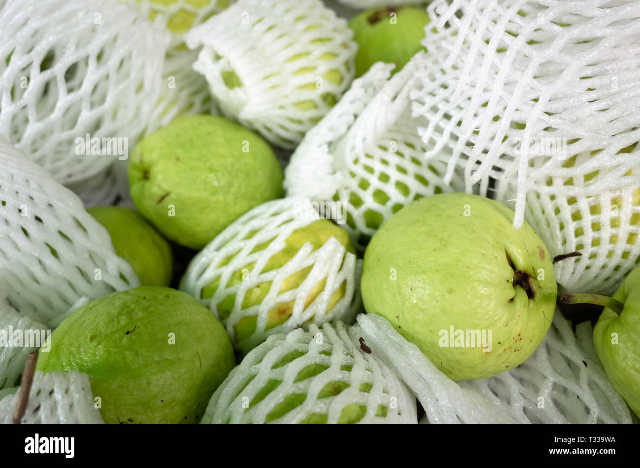 Guava Stack fresh guava fruit stack at the marketplace Stock Photo - Alamy