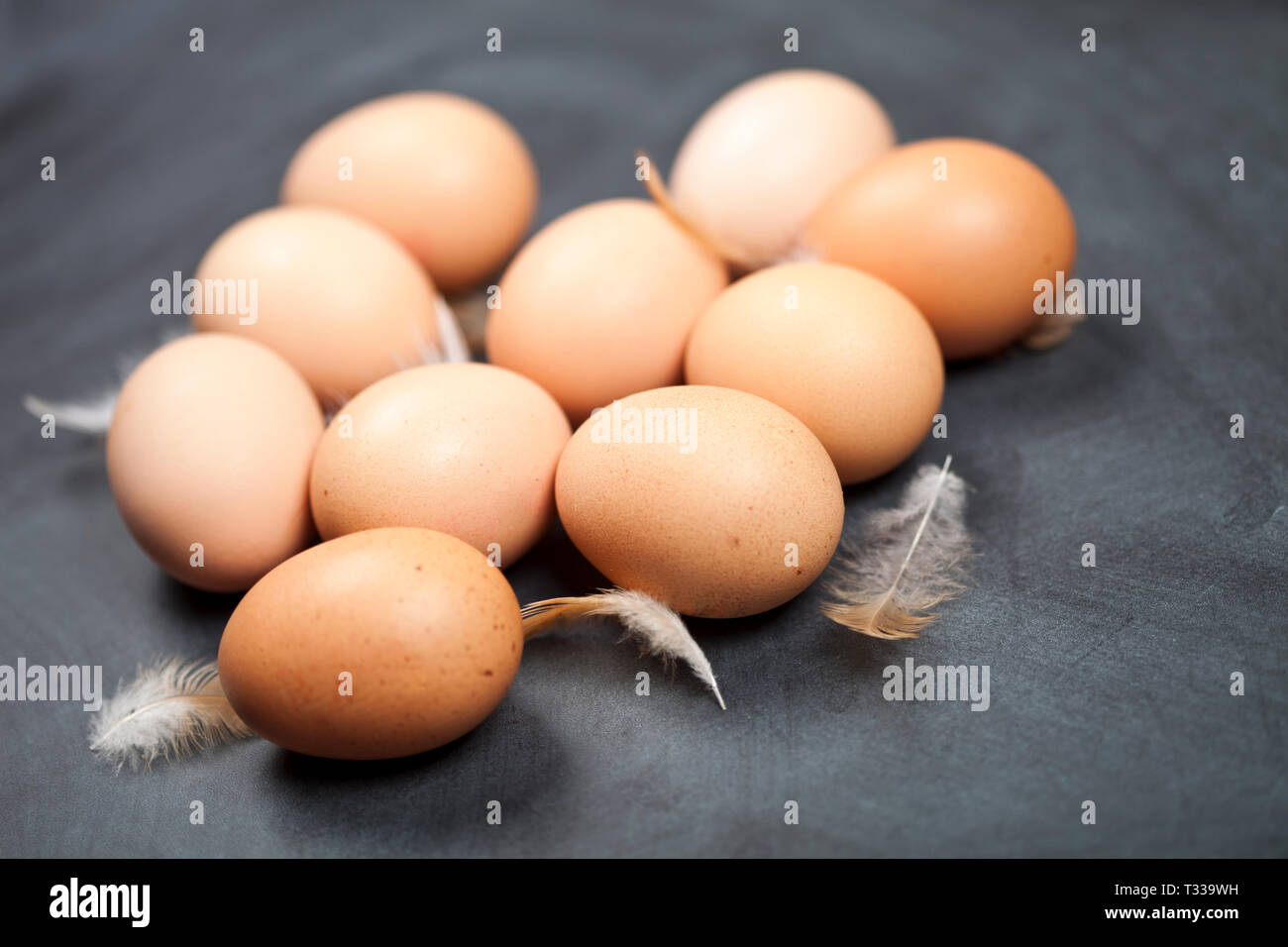 Farm chicken eggs and feathers closeup on black background Stock Photo ...