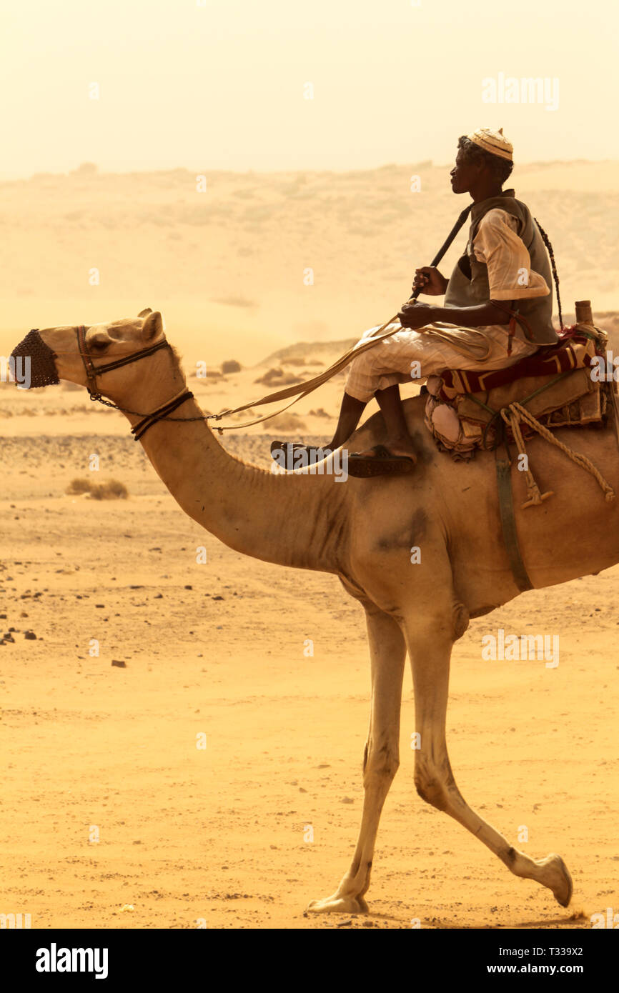 MEROE/SUDAN - March 1st, 2018: Beduin on a camel, in Sahara desert, close to ancient Meroe, in Sudan, Africa. Stock Photo