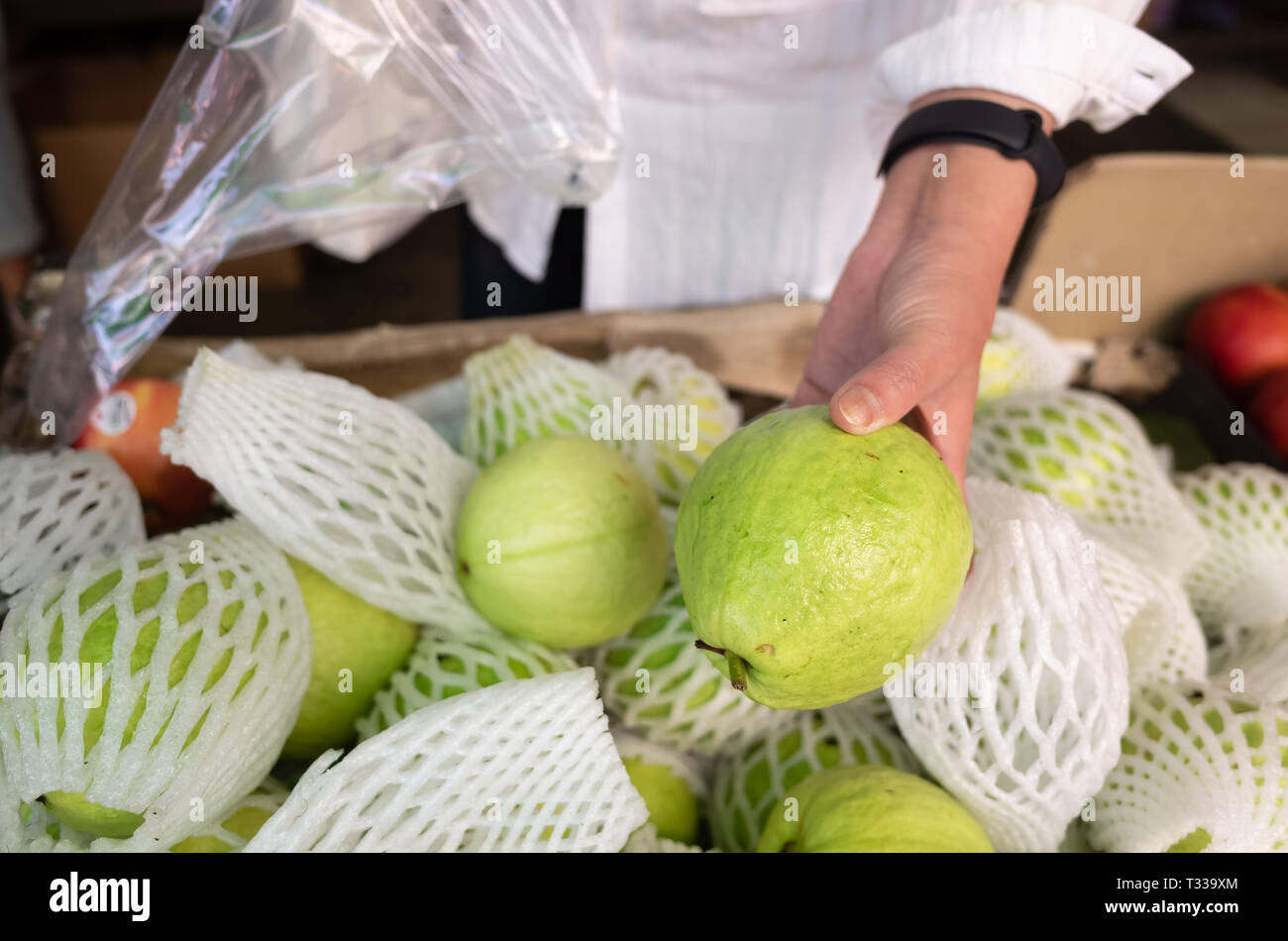 Guava Stack fresh guava fruit stack at the marketplace Stock Photo - Alamy