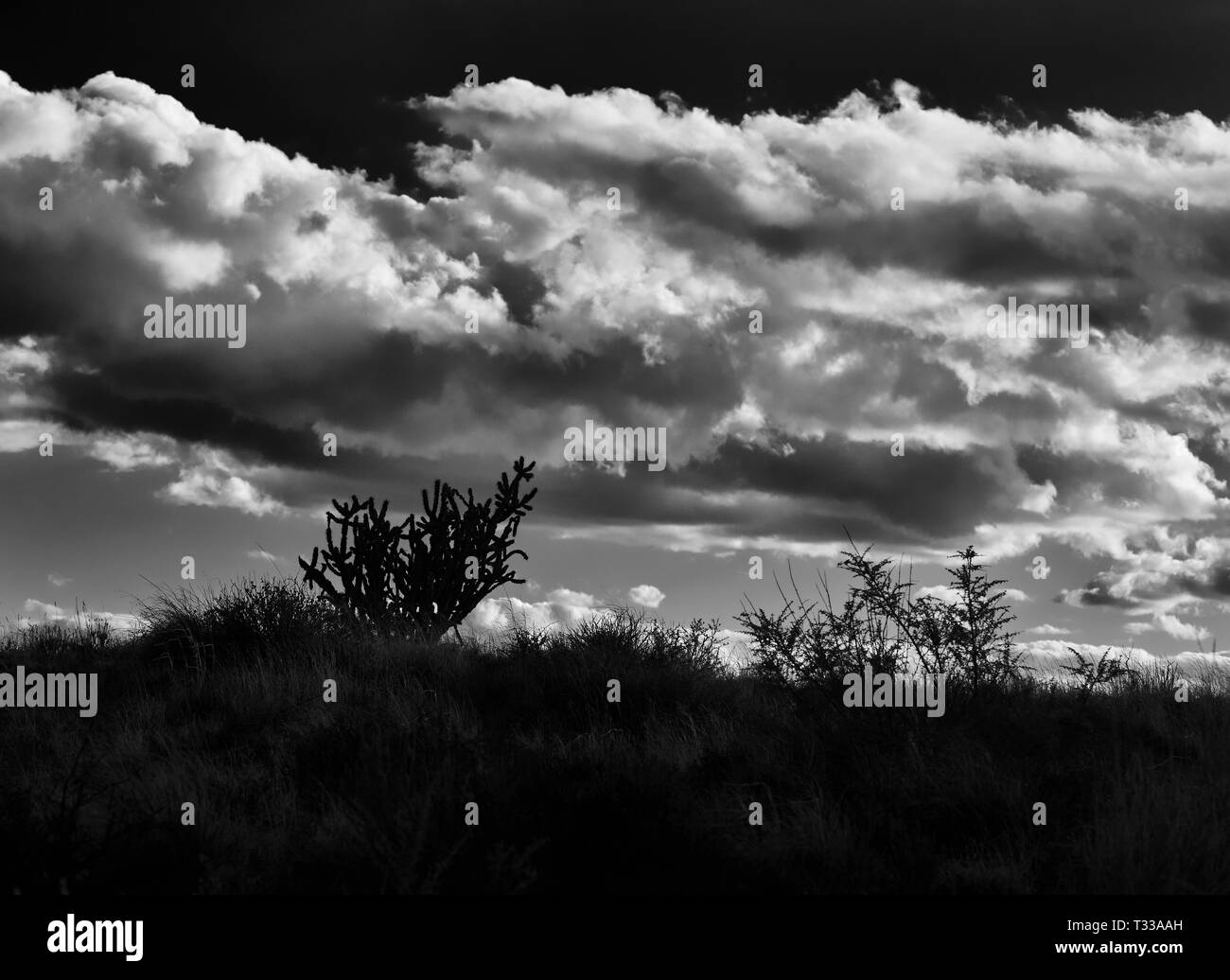 Desert color cloud Black and White Stock Photos & Images - Alamy