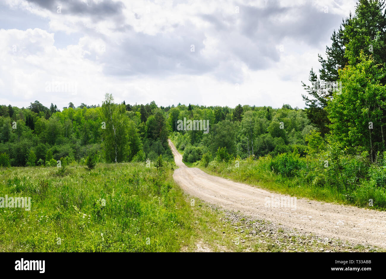 Lovely rural landscape of summer forest trail Stock Photo