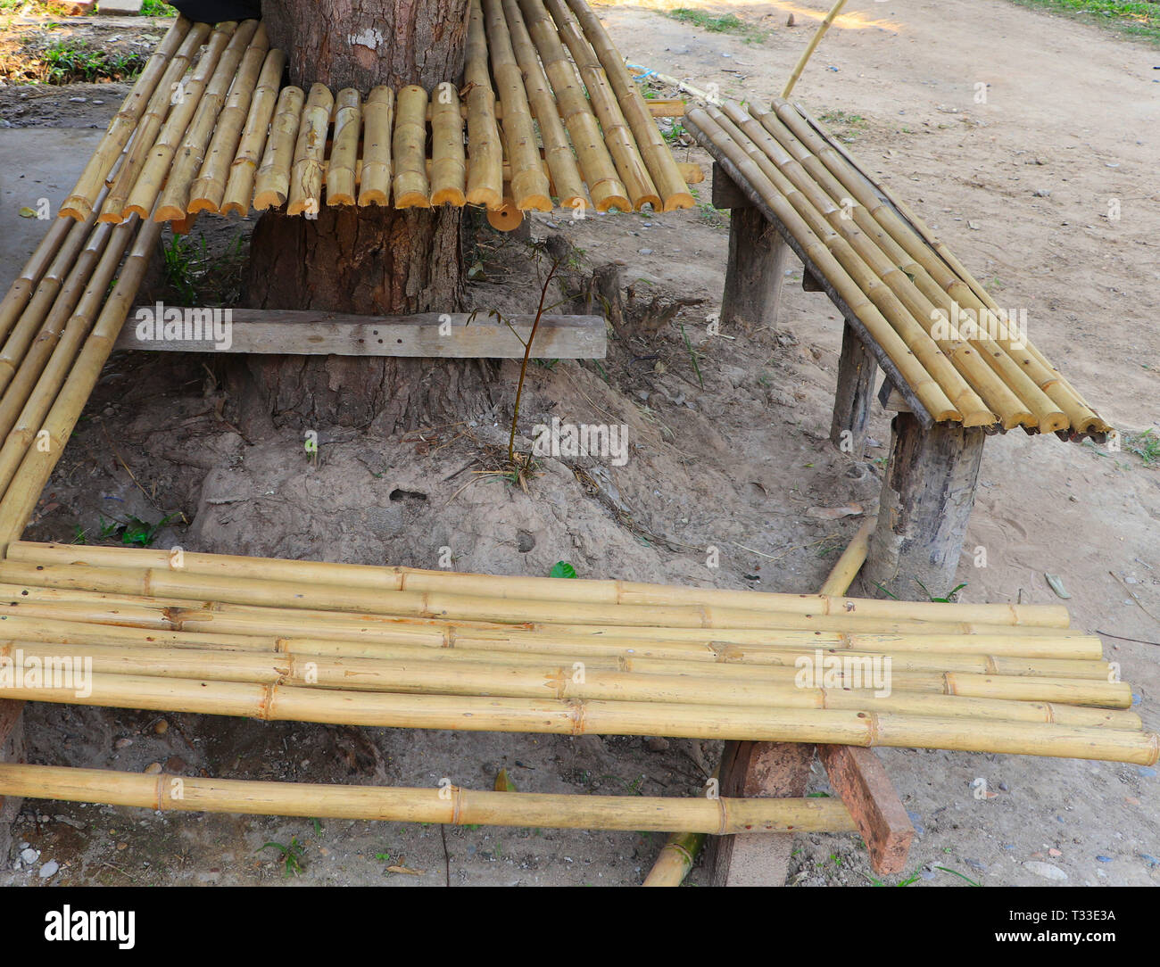 Simple bamboo table and bench built around the tree - Simple bamboo and tree  building concept Stock Photo - Alamy