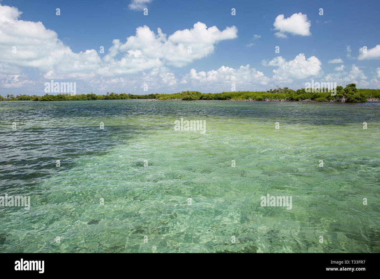 Lagoon of Chinchorro Banks, Banco Chinchorro, Caribbean Sea, Mexico Stock Photo
