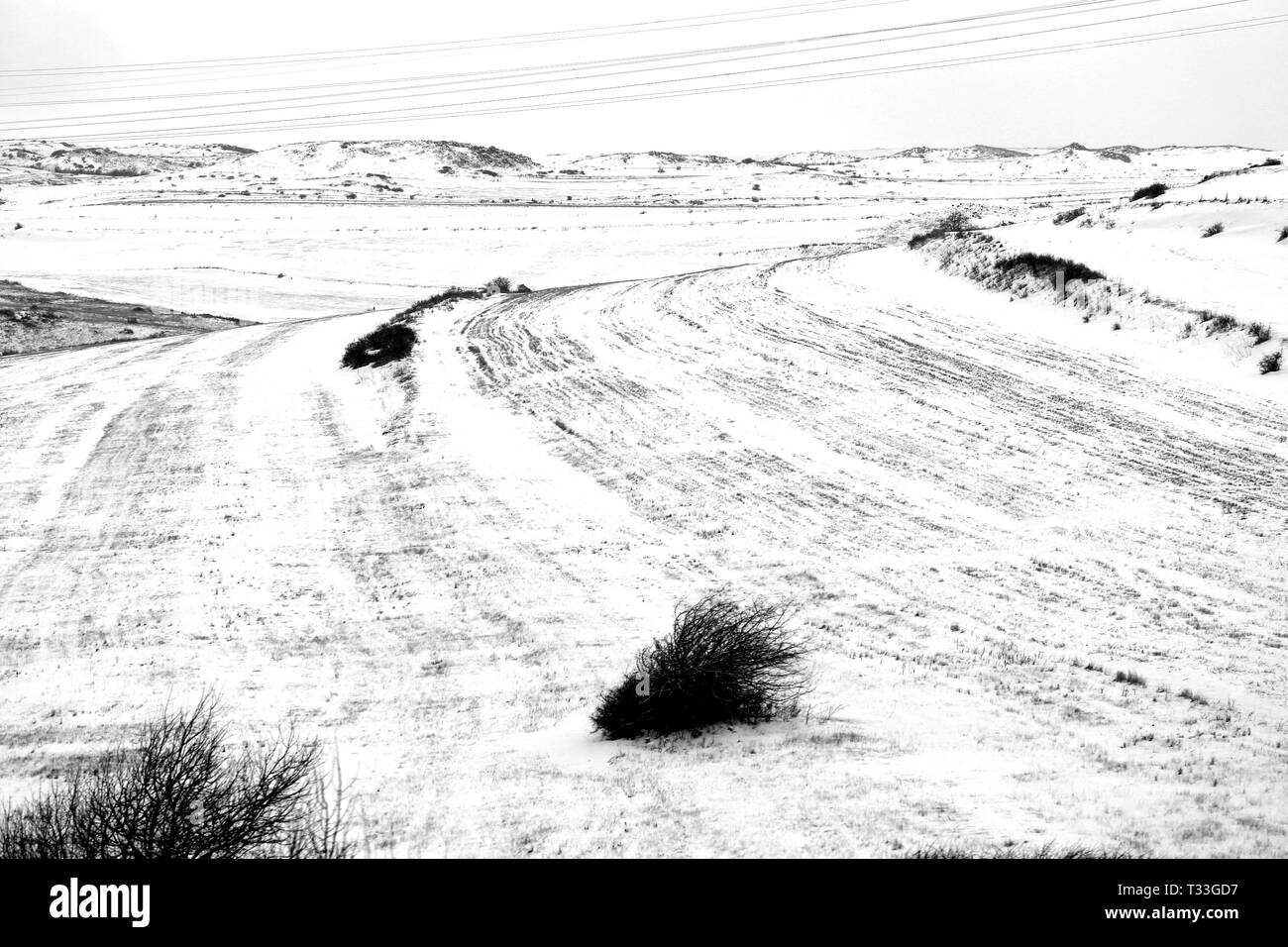 Snowy day Black and White Stock Photos & Images - Alamy