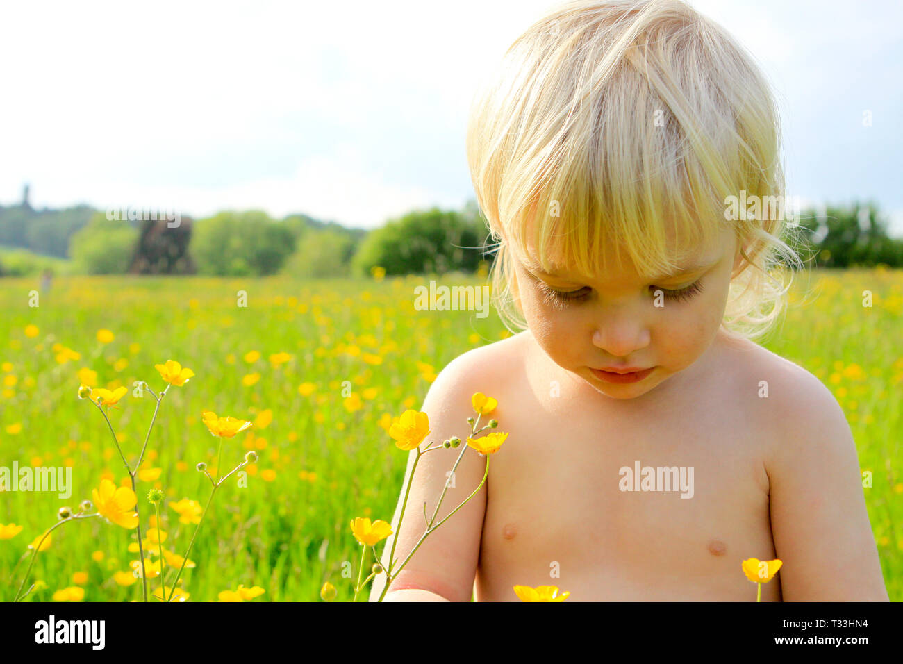 Baby girl picking buttercups in a meadow at Heaven Farm campsite, Sussex, UK Stock Photo