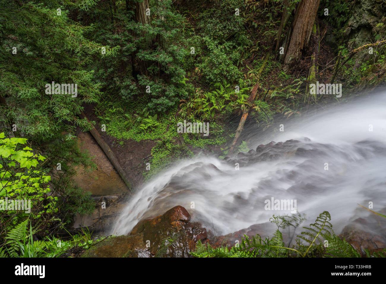 Silver Falls Flowing Top View - Big Basin State Park, Santa Cruz Mountains Stock Photo
