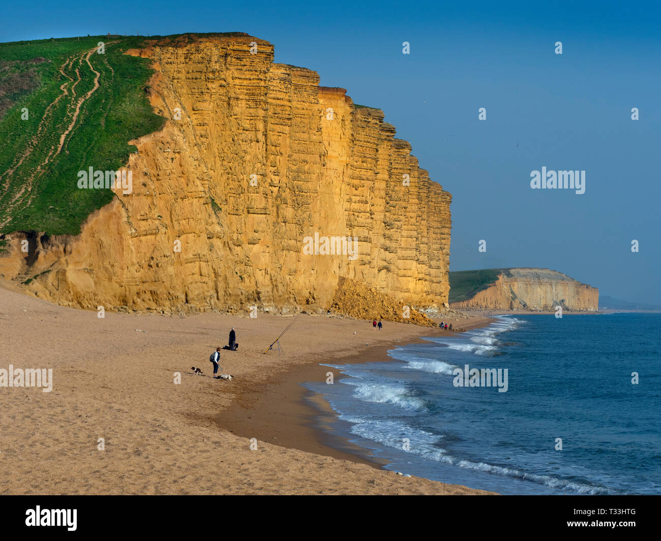 Westbay on the Jurassic Coast  in Dorset southern England Stock Photo