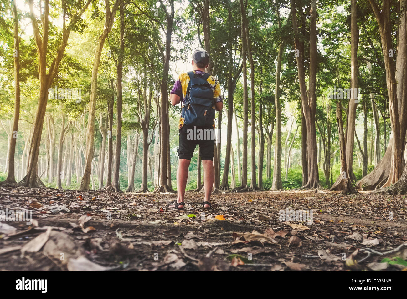 Young hiker man with backpack walking in forest. Hiking and recreation ...