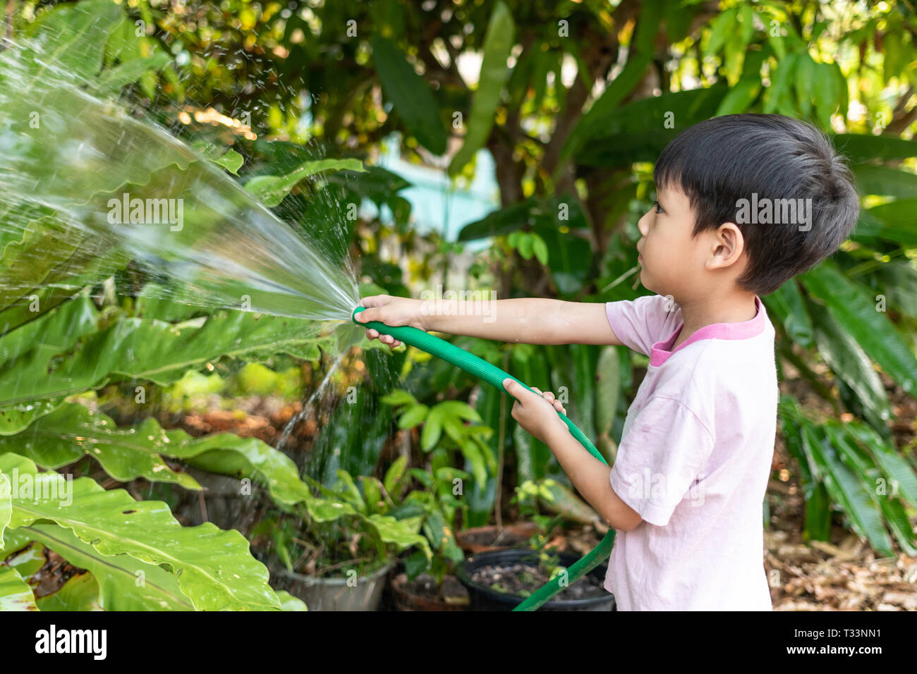 Children are watering plants with rubber hose in the garden Stock Photo